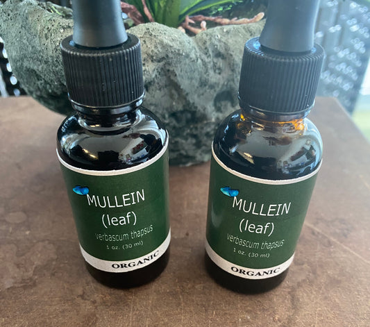Mullein Extract
