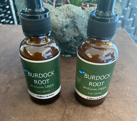 Burdock ROOT