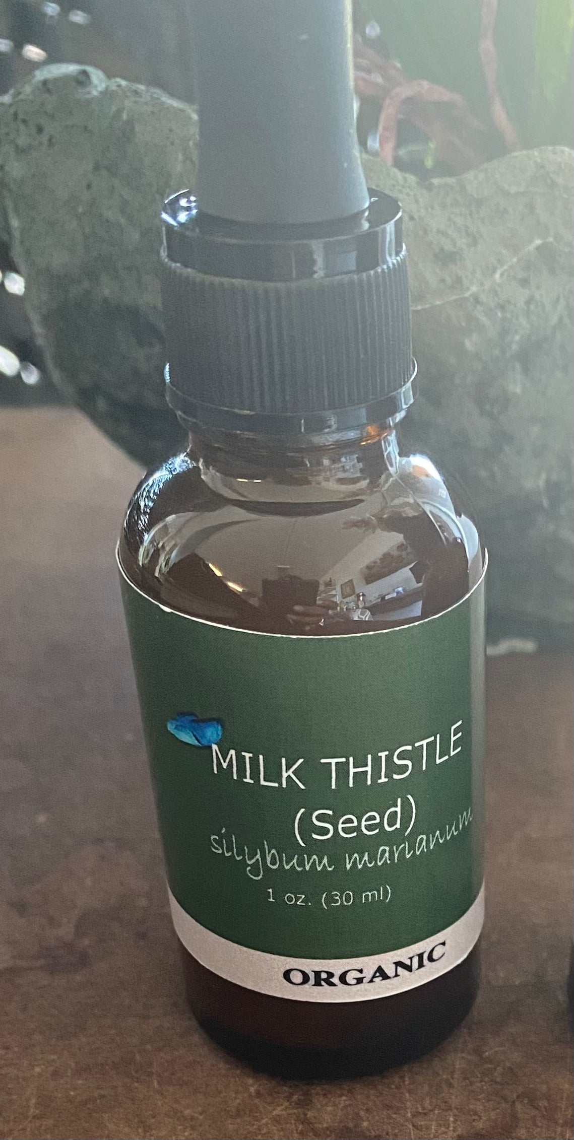Milk Thistle (Seed)