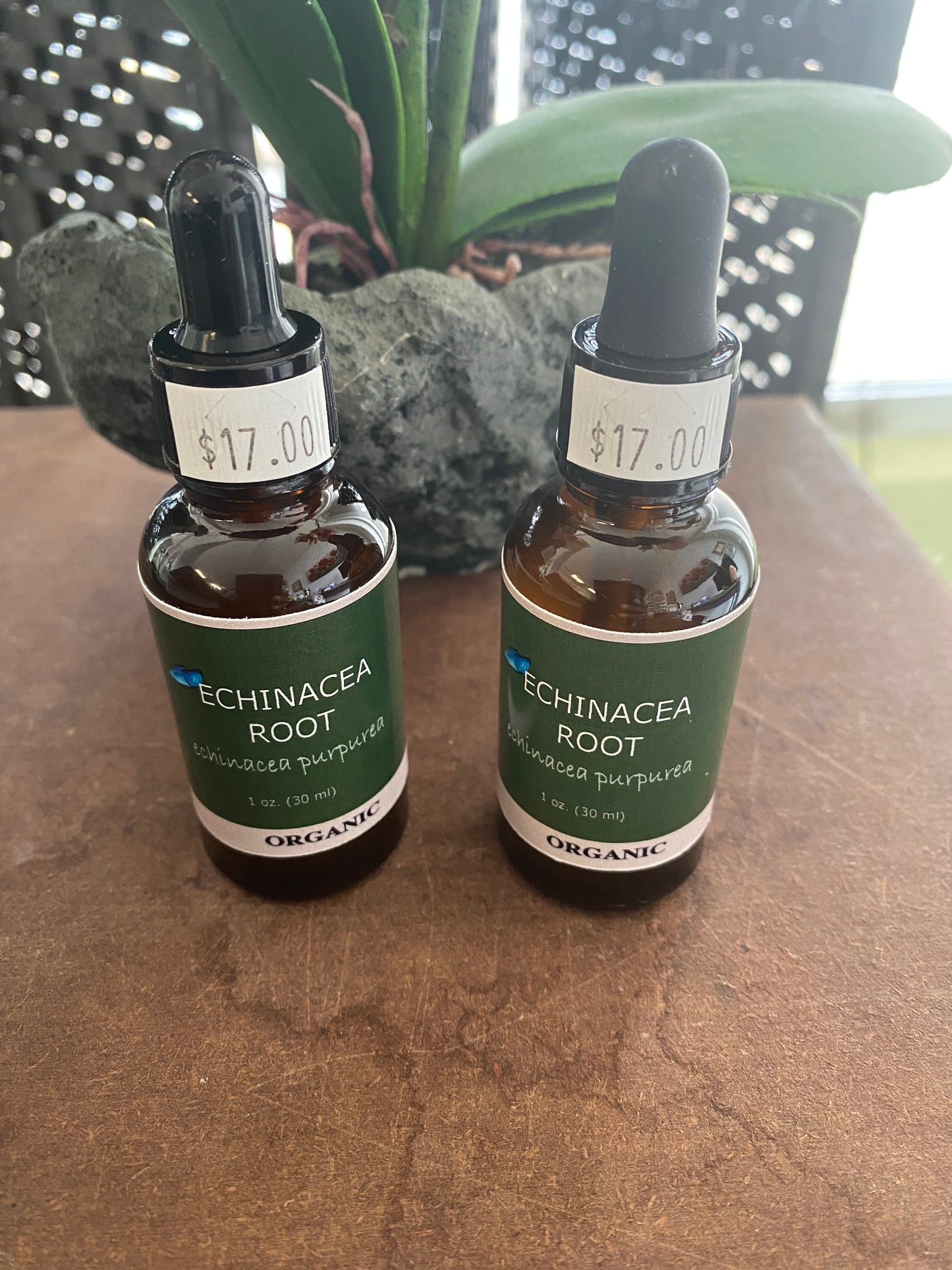 Echinacea Root (Purpurea) 1 oz.