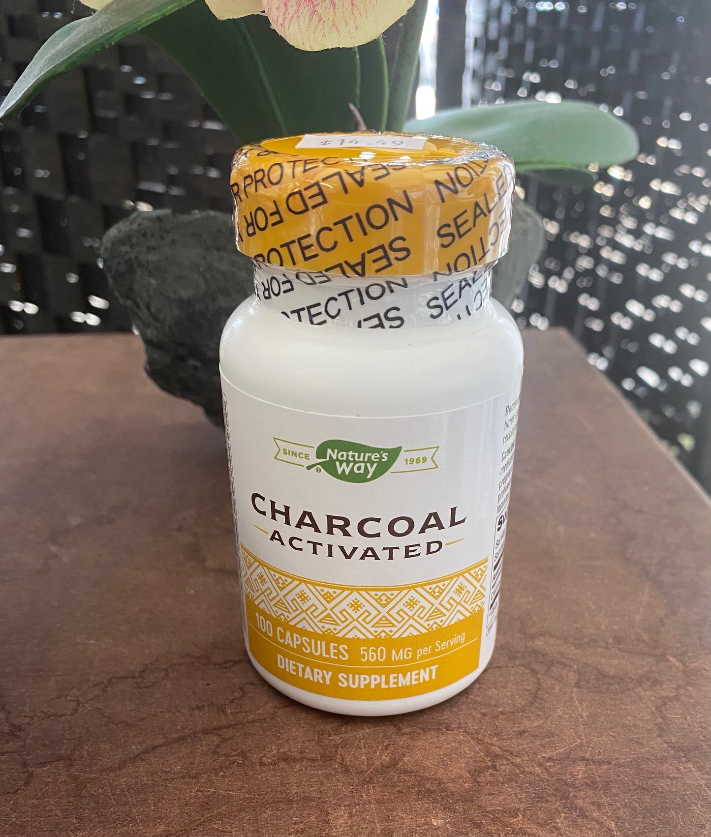 Activated Charcoal (100 capsules)
