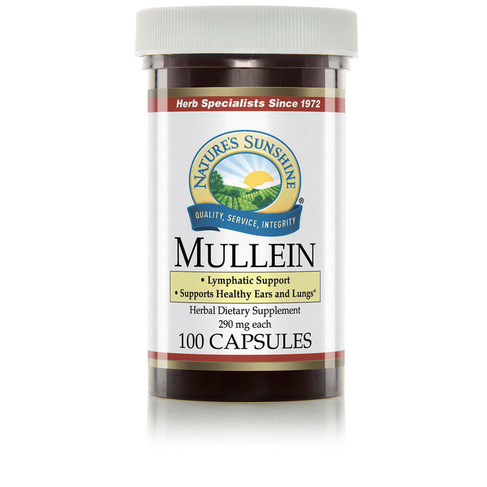 Mullein