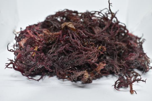Irish Sea Moss (Purple) (St Lucia)