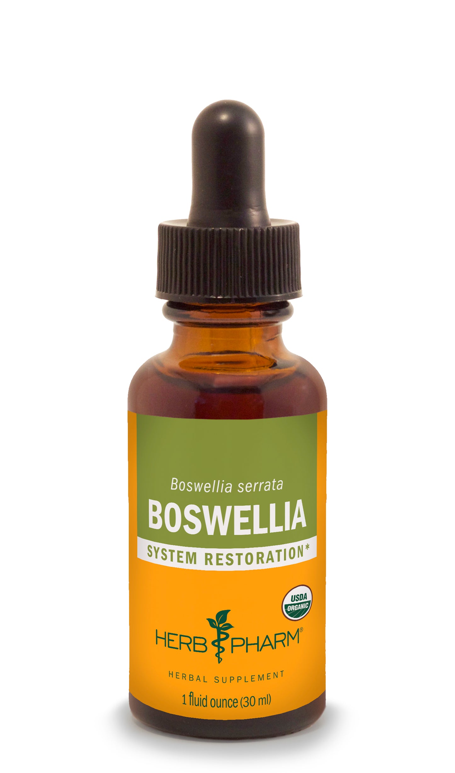 Boswellia