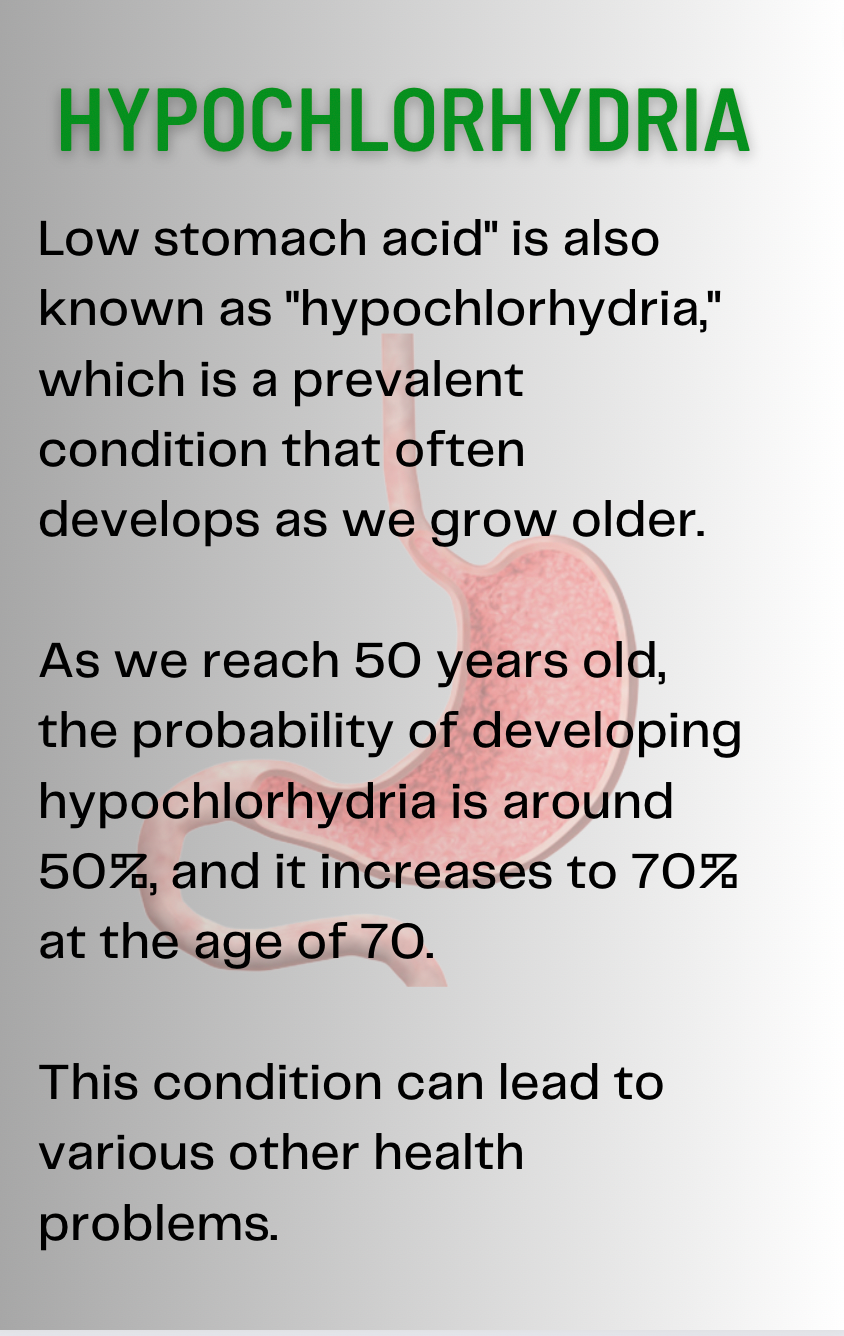 Stomach Issues? - Digital Download