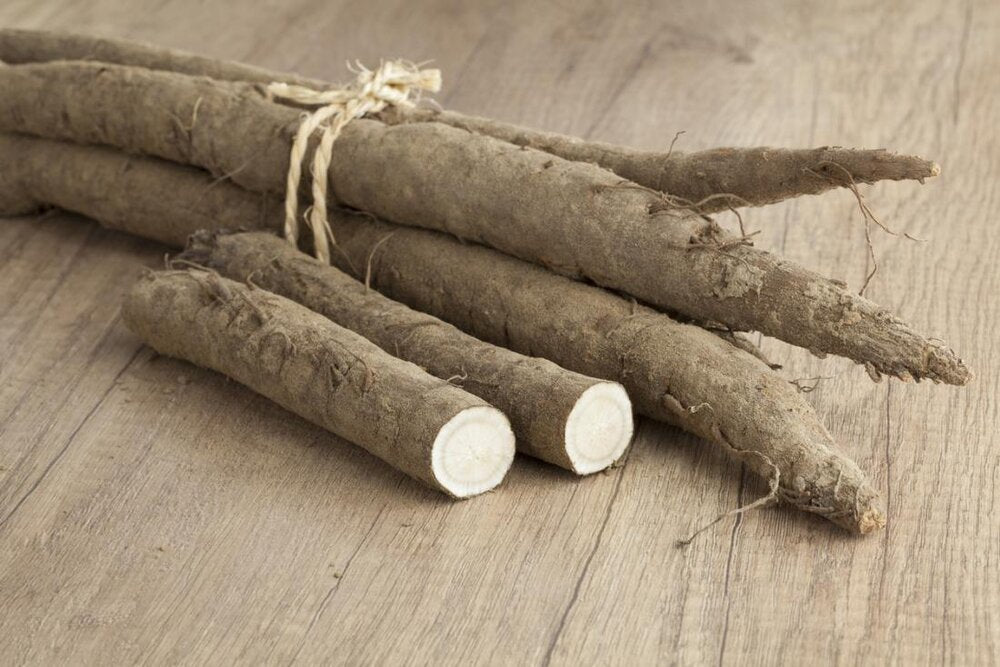 Burdock Root