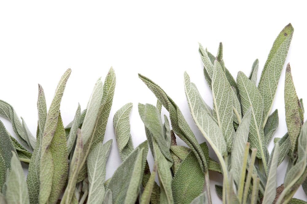 Sage Leaf