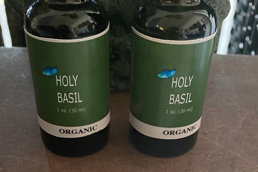 Holy Basil (Tulsi) extract