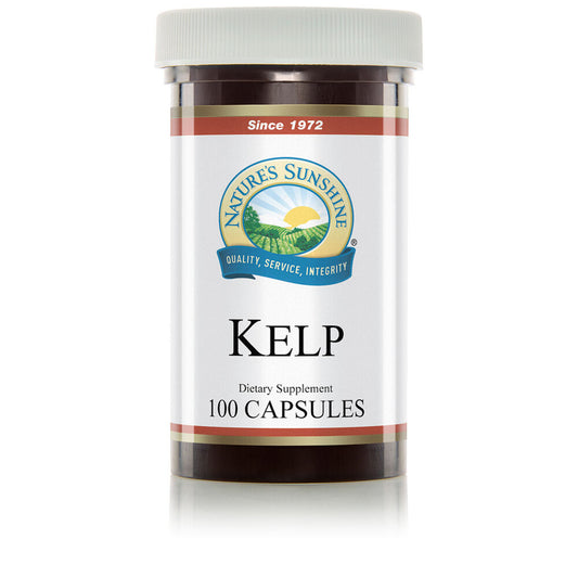 Kelp