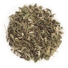 Echinacea Purpurea (cut)