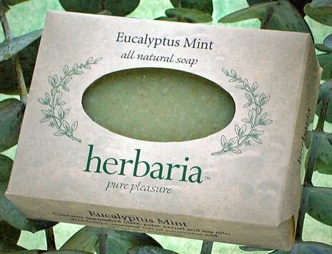 Eucalyptus Mint