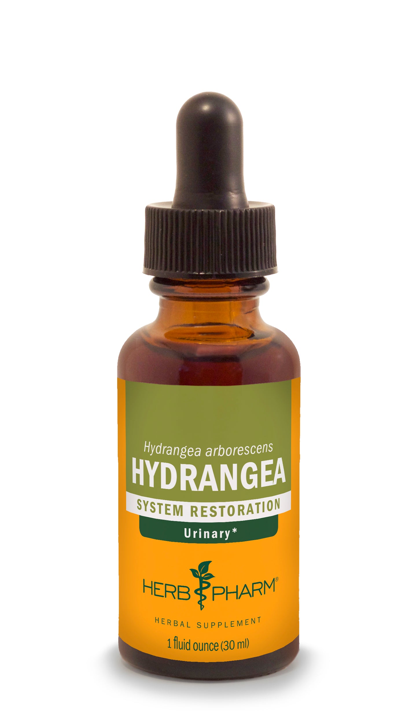 Hydrangea Extract 1oz