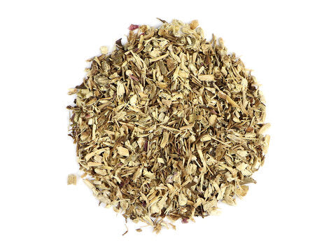 Echinacea Angustifolia (cut)