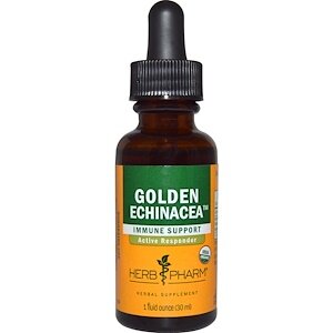 Golden Echinacea 1oz