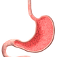 Stomach Issues? - Digital Download